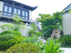 在春天的院子里，享受詩和遠(yuǎn)方