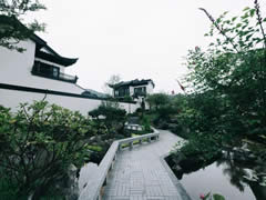 初夏的院子，打開夏日清涼的記憶