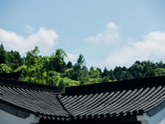 夏有小院 閑度浮生