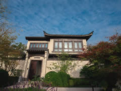 初秋，院中景色正好