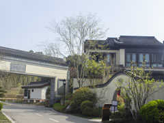 花開花落，不言不語，卻寫盡四季