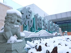 這里，粉妝玉砌，玉樹瓊枝，還有天真爛漫的東辰學(xué)子！