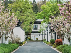 仙海院子 | 自然洗禮，院見(jiàn)芳華