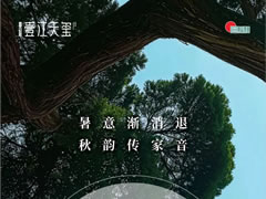 暑意漸消退 秋韻傳家音 | 壹江天璽8月生活家書(shū)